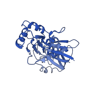 4196_6f95_D_v1-1
AlfA from B. subtilis plasmid pLS32 filament structure at 3.4 A