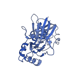 4196_6f95_E_v1-1
AlfA from B. subtilis plasmid pLS32 filament structure at 3.4 A