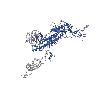 31502_7fae_A_v1-1
S protein of SARS-CoV-2 in complex bound with P36-5D2(state2)