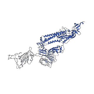 31502_7fae_B_v1-1
S protein of SARS-CoV-2 in complex bound with P36-5D2(state2)