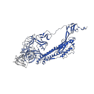 31502_7fae_C_v1-1
S protein of SARS-CoV-2 in complex bound with P36-5D2(state2)