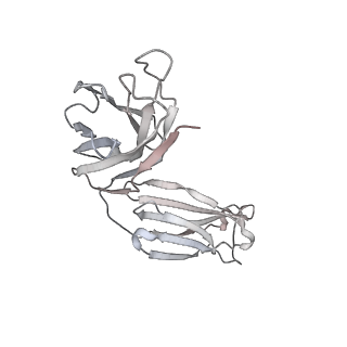 31502_7fae_H_v1-1
S protein of SARS-CoV-2 in complex bound with P36-5D2(state2)