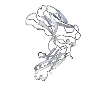 31502_7fae_L_v1-1
S protein of SARS-CoV-2 in complex bound with P36-5D2(state2)