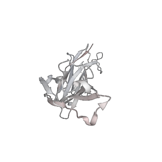 31502_7fae_e_v1-1
S protein of SARS-CoV-2 in complex bound with P36-5D2(state2)