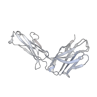 31502_7fae_h_v1-1
S protein of SARS-CoV-2 in complex bound with P36-5D2(state2)