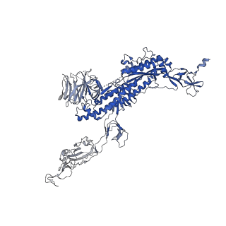 31503_7faf_A_v1-1
S protein of SARS-CoV-2 in complex bound with P36-5D2 (state1)