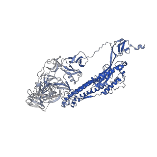 31503_7faf_B_v1-1
S protein of SARS-CoV-2 in complex bound with P36-5D2 (state1)