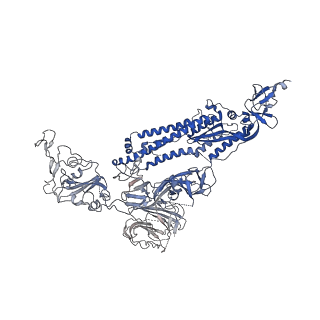 31503_7faf_C_v1-1
S protein of SARS-CoV-2 in complex bound with P36-5D2 (state1)