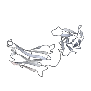 31503_7faf_L_v1-1
S protein of SARS-CoV-2 in complex bound with P36-5D2 (state1)