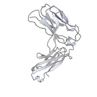 31503_7faf_c_v1-1
S protein of SARS-CoV-2 in complex bound with P36-5D2 (state1)