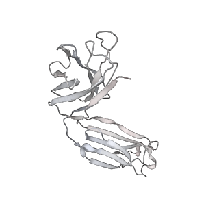 31503_7faf_d_v1-1
S protein of SARS-CoV-2 in complex bound with P36-5D2 (state1)