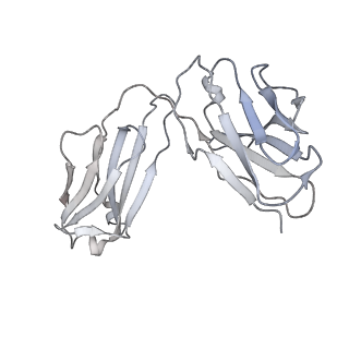 31503_7faf_f_v1-1
S protein of SARS-CoV-2 in complex bound with P36-5D2 (state1)