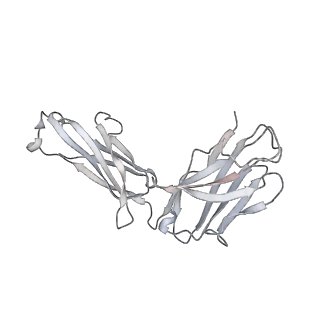 31503_7faf_g_v1-1
S protein of SARS-CoV-2 in complex bound with P36-5D2 (state1)