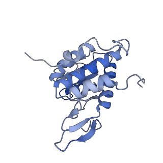 4214_6fai_A_v1-1
Structure of a eukaryotic cytoplasmic pre-40S ribosomal subunit
