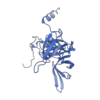 4214_6fai_E_v1-1
Structure of a eukaryotic cytoplasmic pre-40S ribosomal subunit