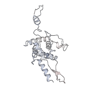 4214_6fai_F_v1-1
Structure of a eukaryotic cytoplasmic pre-40S ribosomal subunit