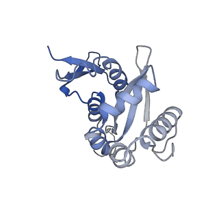 4214_6fai_H_v1-1
Structure of a eukaryotic cytoplasmic pre-40S ribosomal subunit