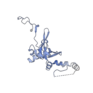 4214_6fai_I_v1-1
Structure of a eukaryotic cytoplasmic pre-40S ribosomal subunit