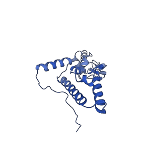 4214_6fai_J_v1-1
Structure of a eukaryotic cytoplasmic pre-40S ribosomal subunit