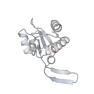 4214_6fai_M_v1-1
Structure of a eukaryotic cytoplasmic pre-40S ribosomal subunit