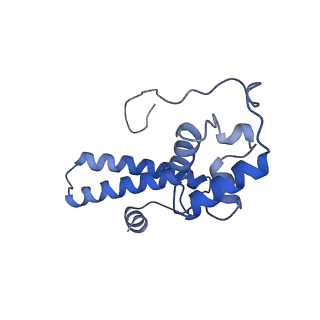 4214_6fai_N_v1-1
Structure of a eukaryotic cytoplasmic pre-40S ribosomal subunit