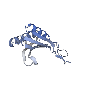4214_6fai_O_v1-1
Structure of a eukaryotic cytoplasmic pre-40S ribosomal subunit