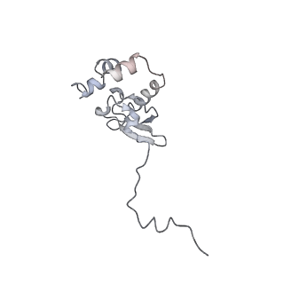 4214_6fai_P_v1-1
Structure of a eukaryotic cytoplasmic pre-40S ribosomal subunit