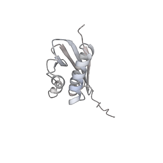 4214_6fai_Q_v1-1
Structure of a eukaryotic cytoplasmic pre-40S ribosomal subunit