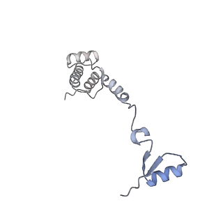 4214_6fai_R_v1-1
Structure of a eukaryotic cytoplasmic pre-40S ribosomal subunit
