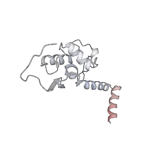 4214_6fai_S_v1-1
Structure of a eukaryotic cytoplasmic pre-40S ribosomal subunit