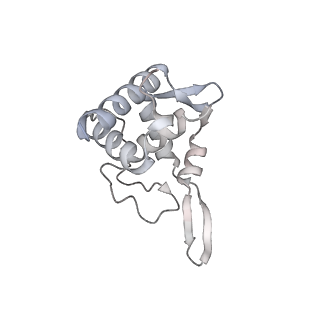 4214_6fai_T_v1-1
Structure of a eukaryotic cytoplasmic pre-40S ribosomal subunit