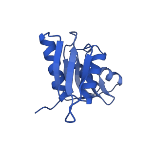 4214_6fai_W_v1-1
Structure of a eukaryotic cytoplasmic pre-40S ribosomal subunit