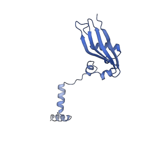 4214_6fai_Y_v1-1
Structure of a eukaryotic cytoplasmic pre-40S ribosomal subunit