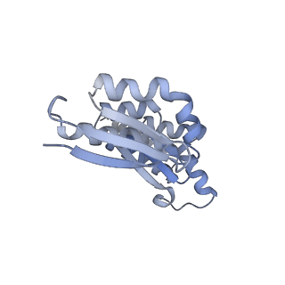 4214_6fai_h_v1-1
Structure of a eukaryotic cytoplasmic pre-40S ribosomal subunit