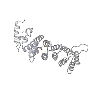 4214_6fai_i_v1-1
Structure of a eukaryotic cytoplasmic pre-40S ribosomal subunit
