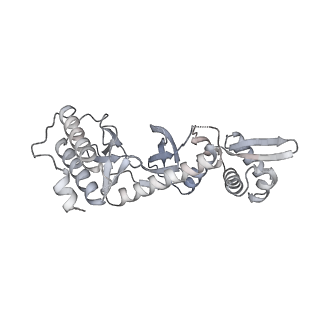 4214_6fai_l_v1-1
Structure of a eukaryotic cytoplasmic pre-40S ribosomal subunit