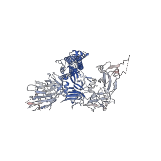 31511_7fb0_B_v1-0
SARS-CoV-2 spike protein in closed state