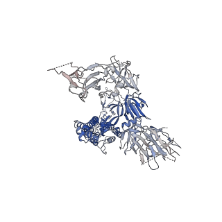 31511_7fb0_C_v1-0
SARS-CoV-2 spike protein in closed state