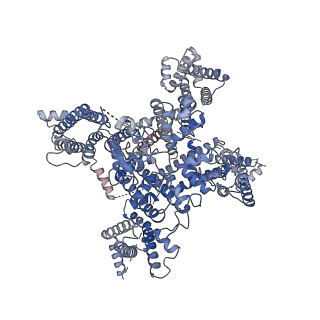 31519_7fbs_A_v1-1
structure of a channel