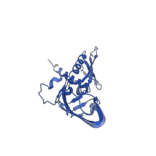 4230_6fbv_A_v1-4
Single particle cryo em structure of Mycobacterium tuberculosis RNA polymerase in complex with Fidaxomicin