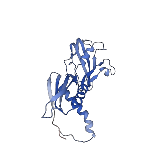 4230_6fbv_B_v1-4
Single particle cryo em structure of Mycobacterium tuberculosis RNA polymerase in complex with Fidaxomicin