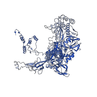 4230_6fbv_C_v1-4
Single particle cryo em structure of Mycobacterium tuberculosis RNA polymerase in complex with Fidaxomicin