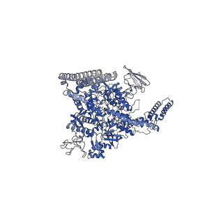 4230_6fbv_D_v1-4
Single particle cryo em structure of Mycobacterium tuberculosis RNA polymerase in complex with Fidaxomicin