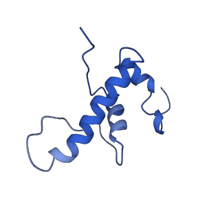 4230_6fbv_E_v1-4
Single particle cryo em structure of Mycobacterium tuberculosis RNA polymerase in complex with Fidaxomicin