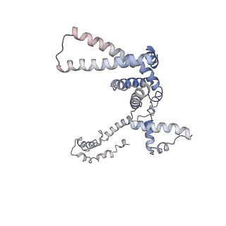 4230_6fbv_F_v1-4
Single particle cryo em structure of Mycobacterium tuberculosis RNA polymerase in complex with Fidaxomicin
