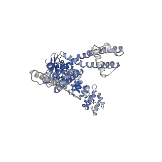 28975_8fc7_A_v1-0
Cryo-EM structure of the human TRPV4 - RhoA in complex with GSK2798745
