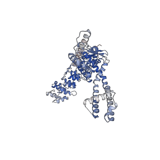 28975_8fc7_D_v1-0
Cryo-EM structure of the human TRPV4 - RhoA in complex with GSK2798745