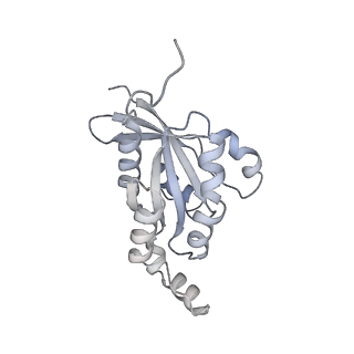 28975_8fc7_E_v1-0
Cryo-EM structure of the human TRPV4 - RhoA in complex with GSK2798745