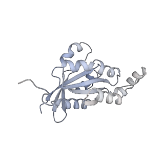 28975_8fc7_F_v1-0
Cryo-EM structure of the human TRPV4 - RhoA in complex with GSK2798745