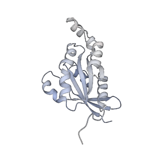 28975_8fc7_G_v1-0
Cryo-EM structure of the human TRPV4 - RhoA in complex with GSK2798745